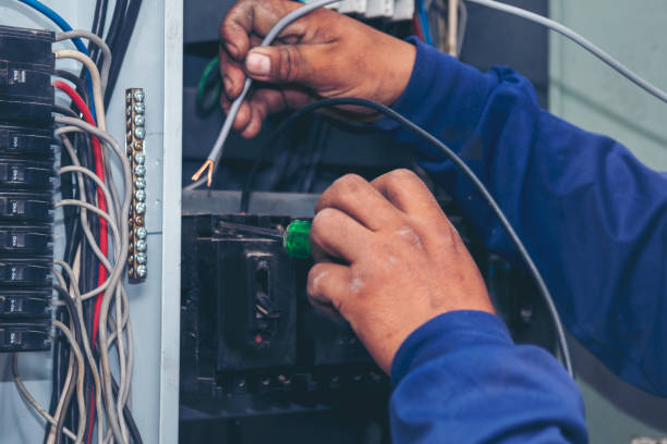 Best Licensed Electrician  in Curtice, OH
