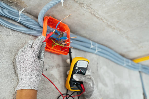 Best Electric Panel Repair  in Curtice, OH